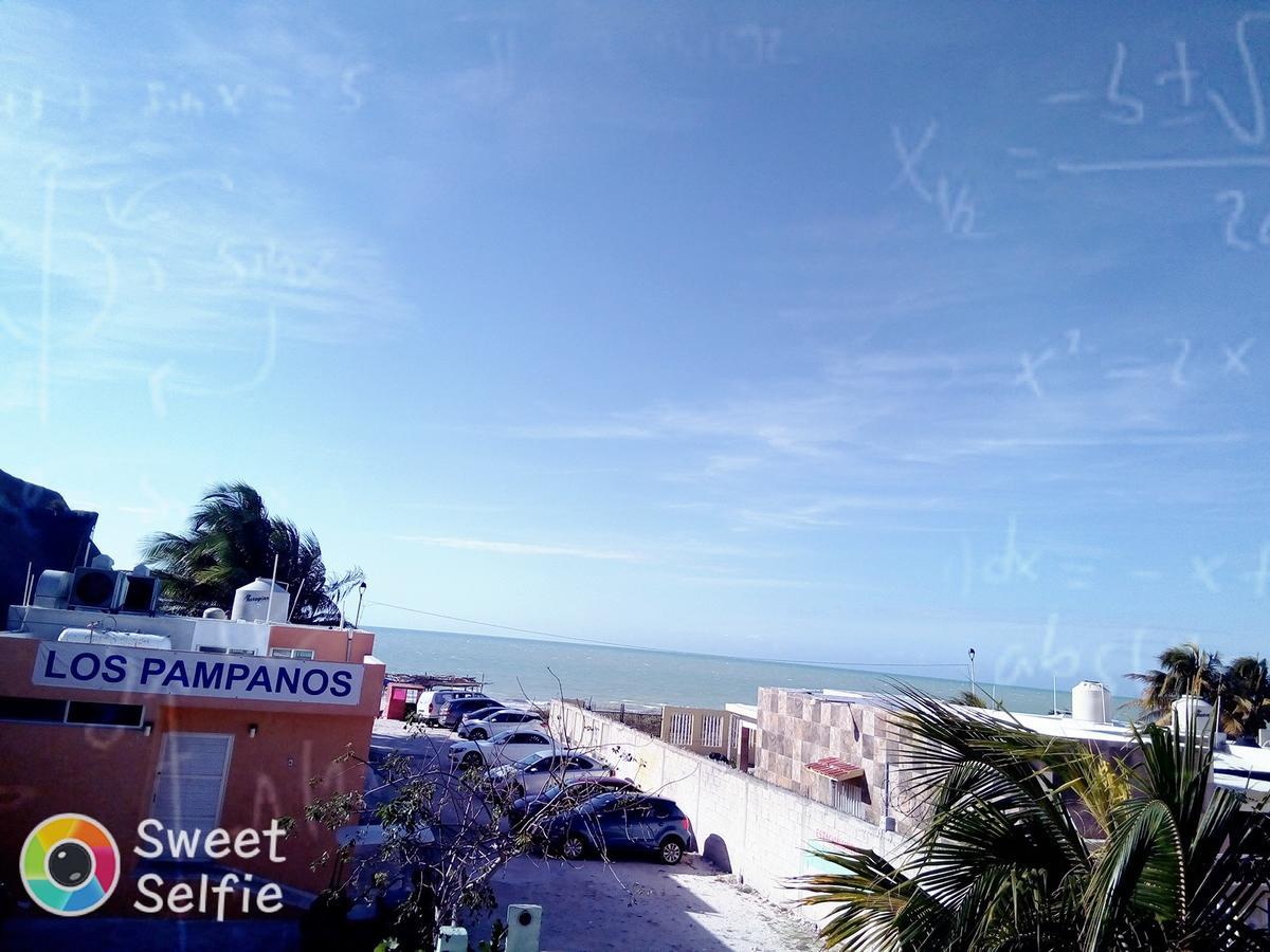 Hotel Sofia เซเลสตุน ภายนอก รูปภาพ